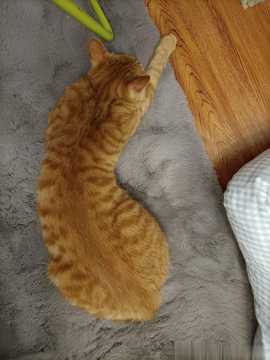  ​​​