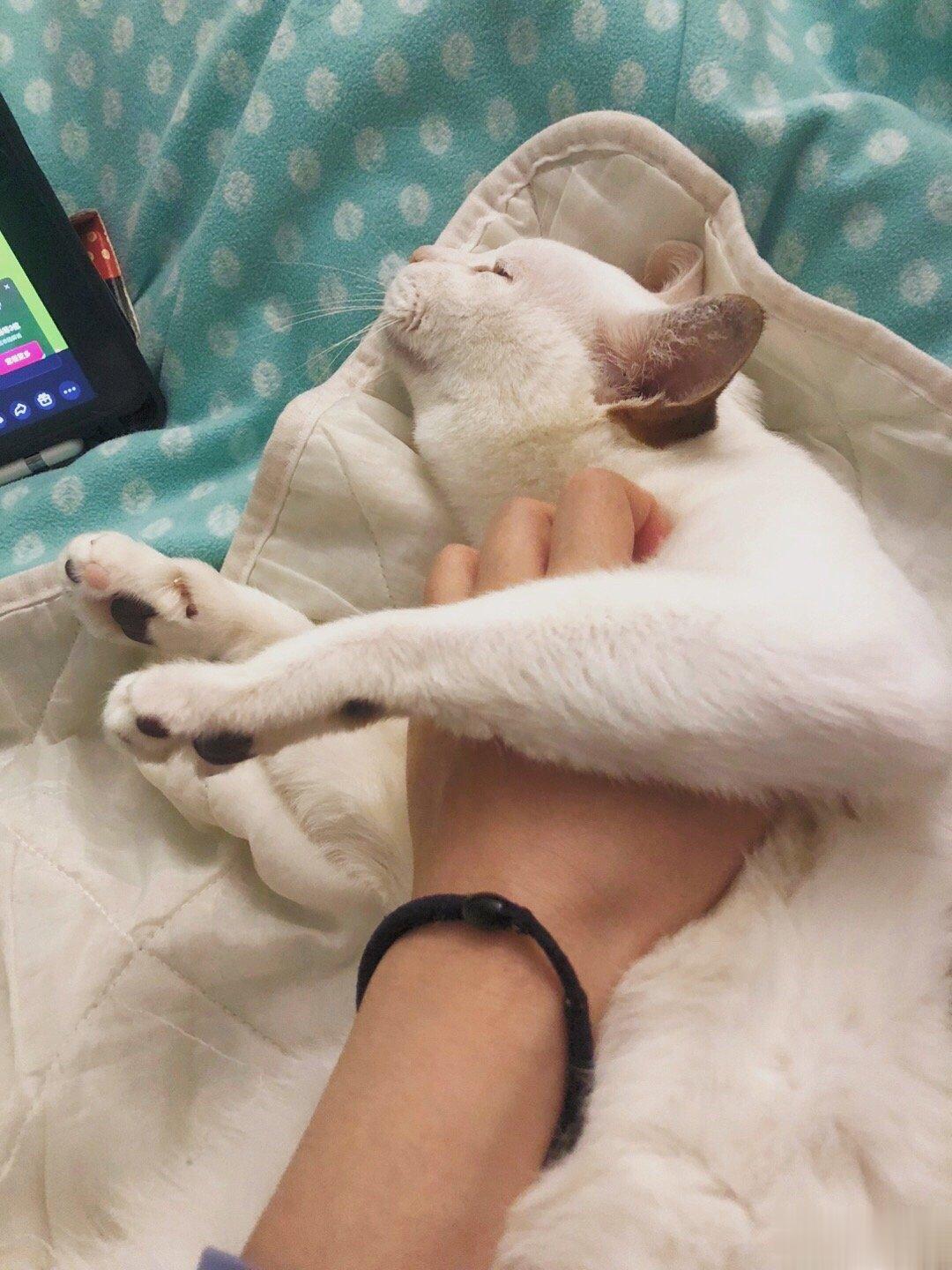 暖手宝 ​​​
