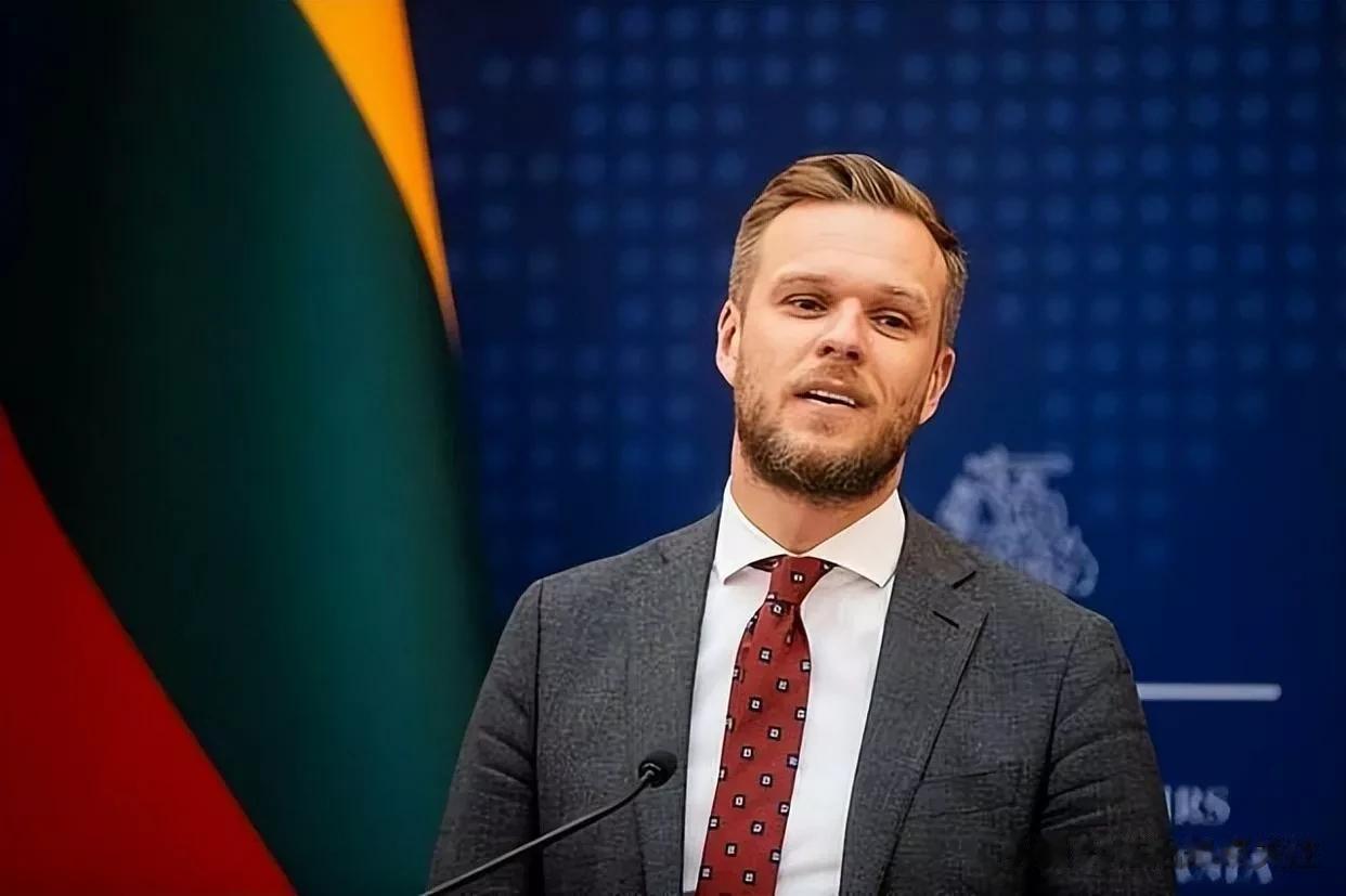 又跳出来了！立陶宛宣布对俄罗斯新制裁

来源:海峡快讯

近日，随着俄乌冲突的不