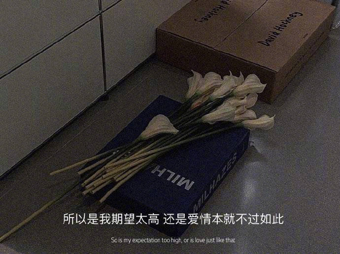  你要悄悄熬夜，熬成地中海，然后笑死所有人。 ​​​