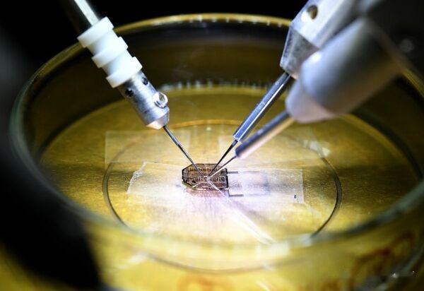 脑链还是太惊世骇俗？马斯克的人脑实验被美国监管机构拒绝。据媒体报道，美国食品和药