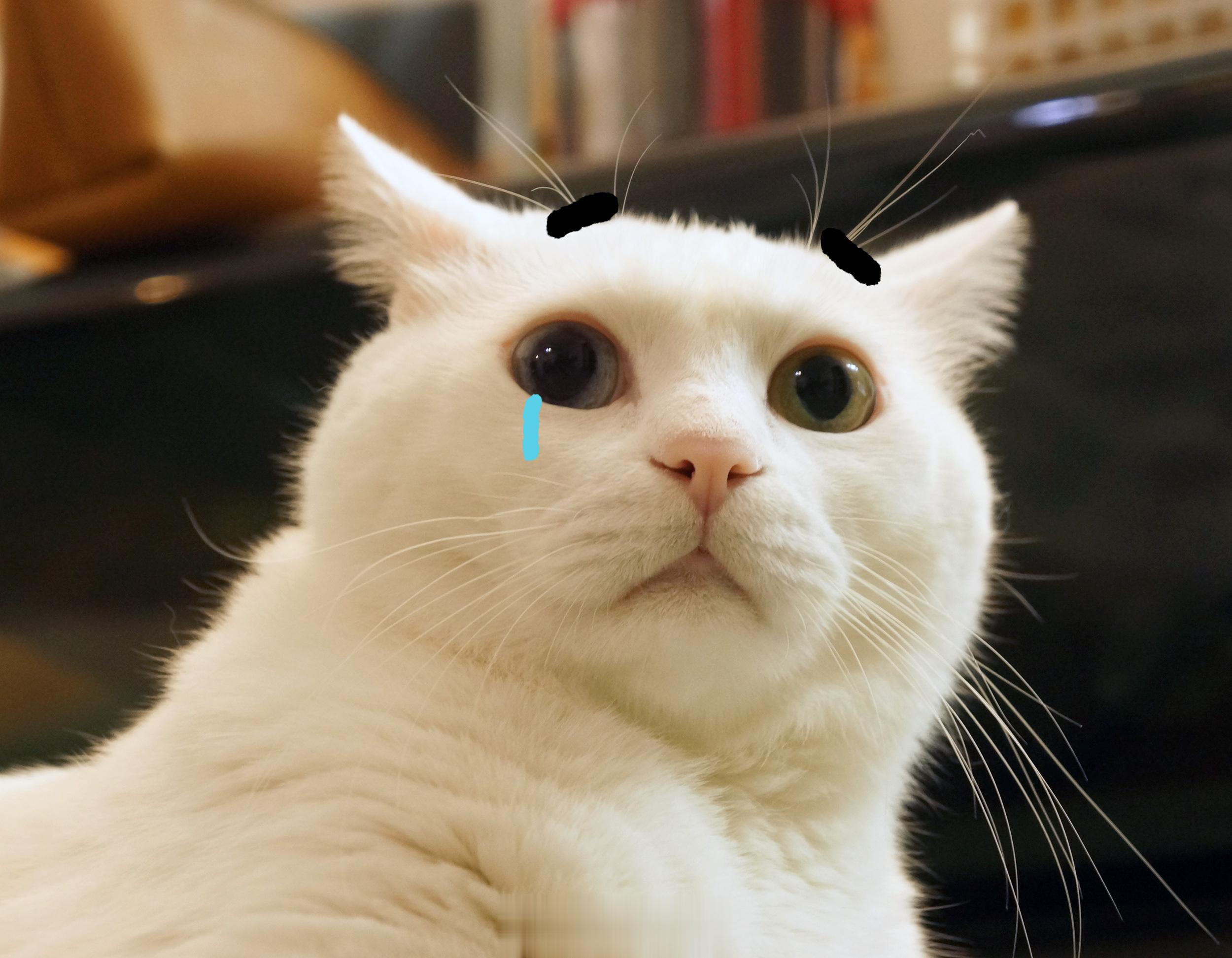 需要漂釀姐姐、姨E，來給偶個小愛心❤️ ​​​