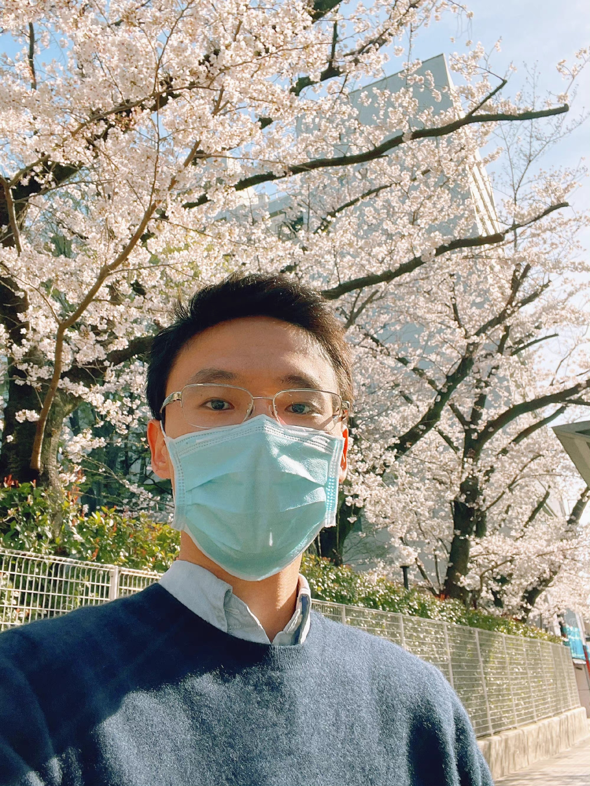 过去三年的赏樱足迹。刚刚东京宣布进入到今年的樱花季，许多地方也在疫情后，首次开放