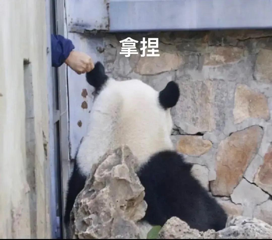 有没有可能发生这样的事，贷款买房买车[尬笑]
二三十年后贷款还清了，房价也崩盘了