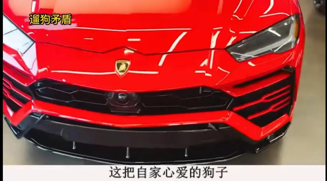 江苏苏州，王强开着价值700万的兰博基尼，一只金毛突然冲出与豪车相撞，车损高达4