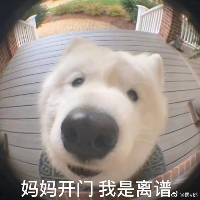 今日围观几处广场疯狂扯头花，得出结论——内🐟各路人马，乃是真·跳梁小丑……真·