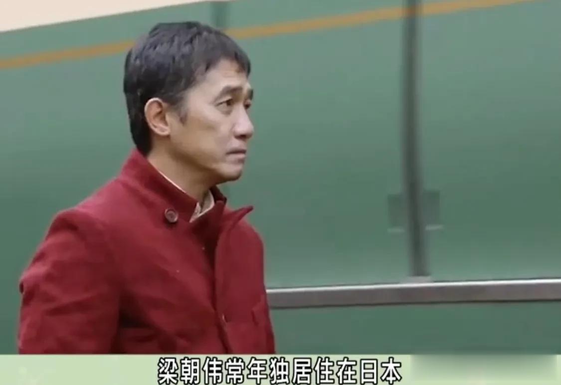梁朝伟长年独居日本都是刘嘉玲主动来找他[呲牙][呲牙][呲牙]梁朝伟隐居日本二十