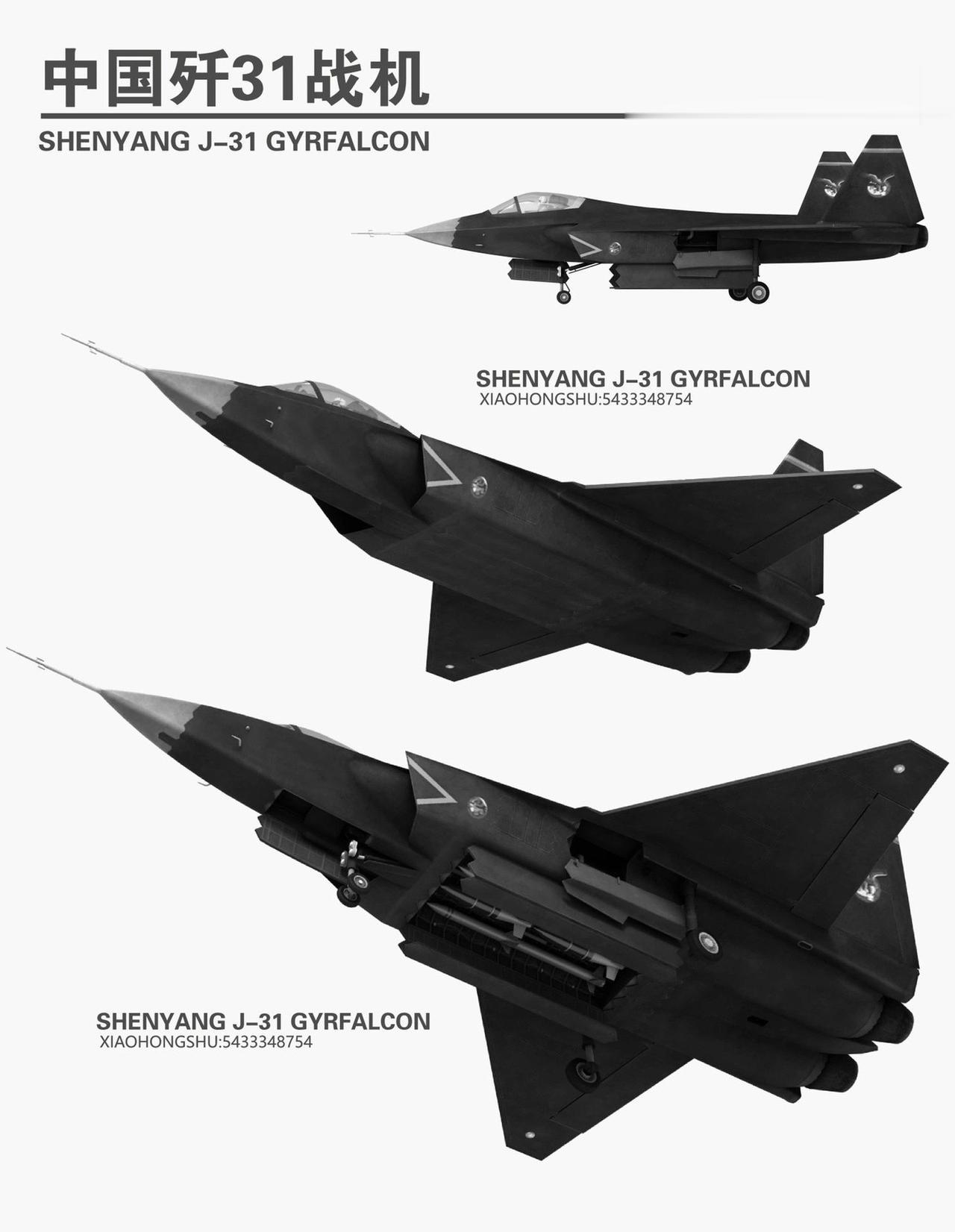 J31 代号“鹘鹰。战术装备 #反对霸权主义维护世界和平 
歼-31飞机具有高生