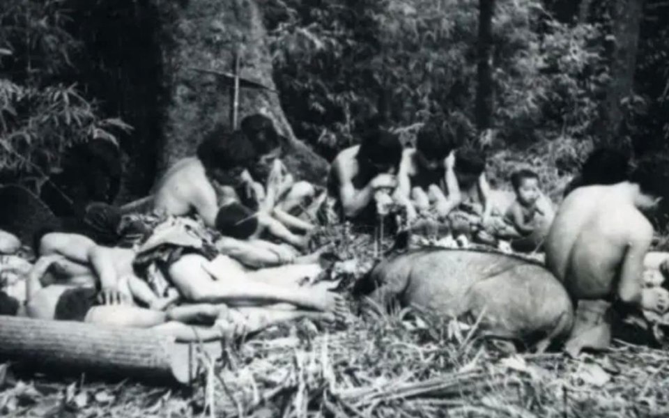 #历史那些事[超话]#1956年，在云南哀牢山和无量山一带，人民解放军在中越边境
