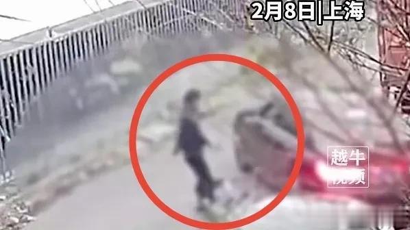  头条热榜
醉酒男子为安全请代驾，却反被碰瓷索赔1万元，掏钱的场面更是闻所未闻。