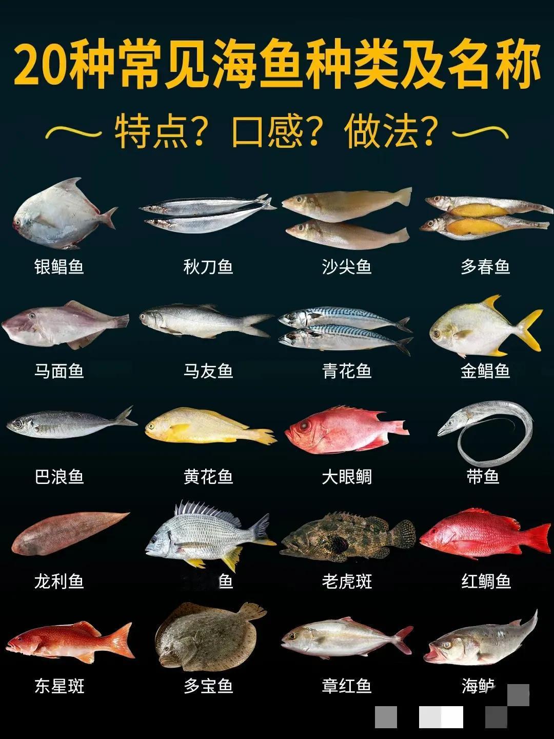 餐桌上20种常见海鱼的种类及名称，教你买鱼吃鱼、酒店点菜不迷路，看完之后成专家。