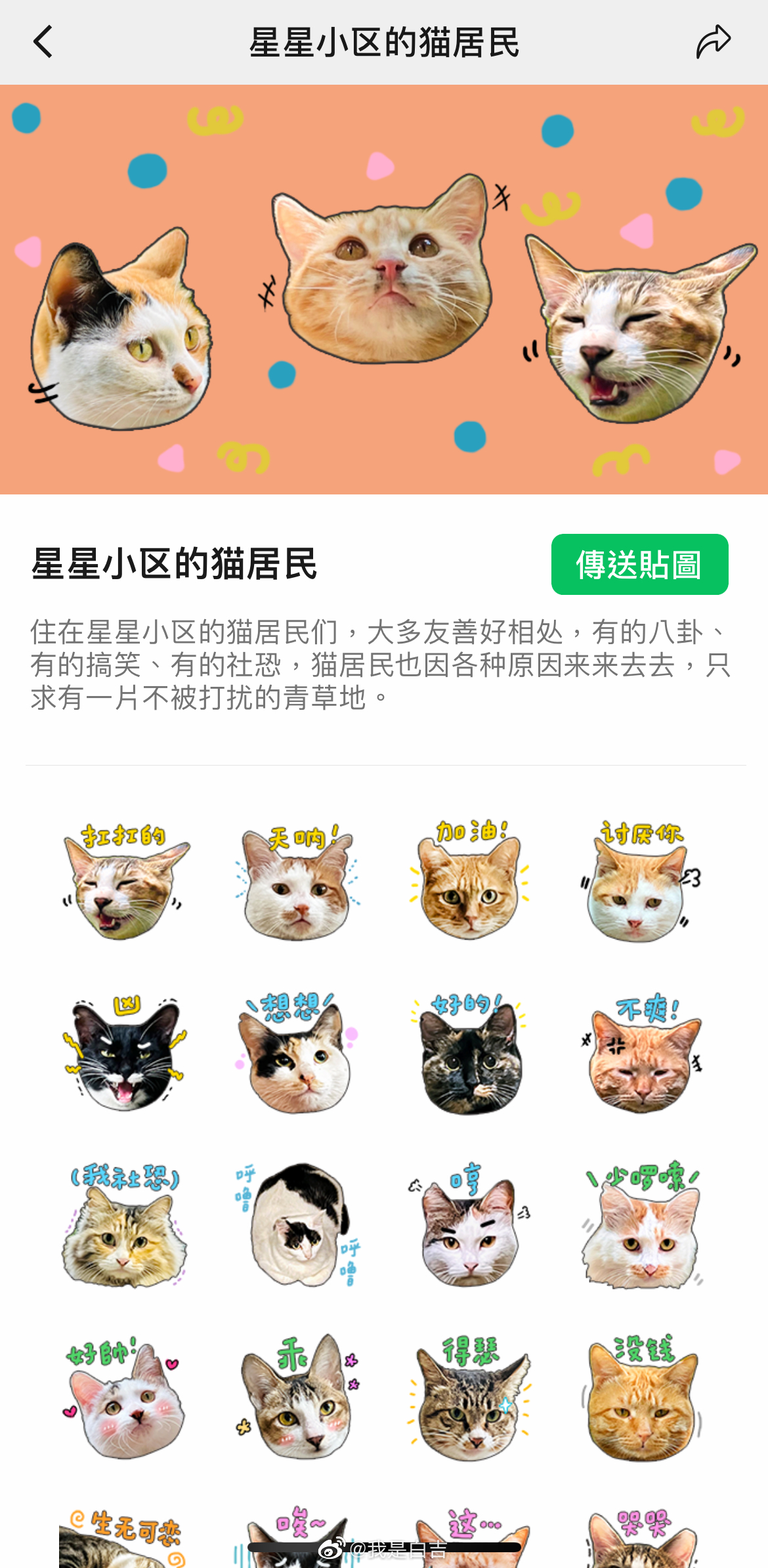 分享～歡迎大家微信上搜索使用 ​​​