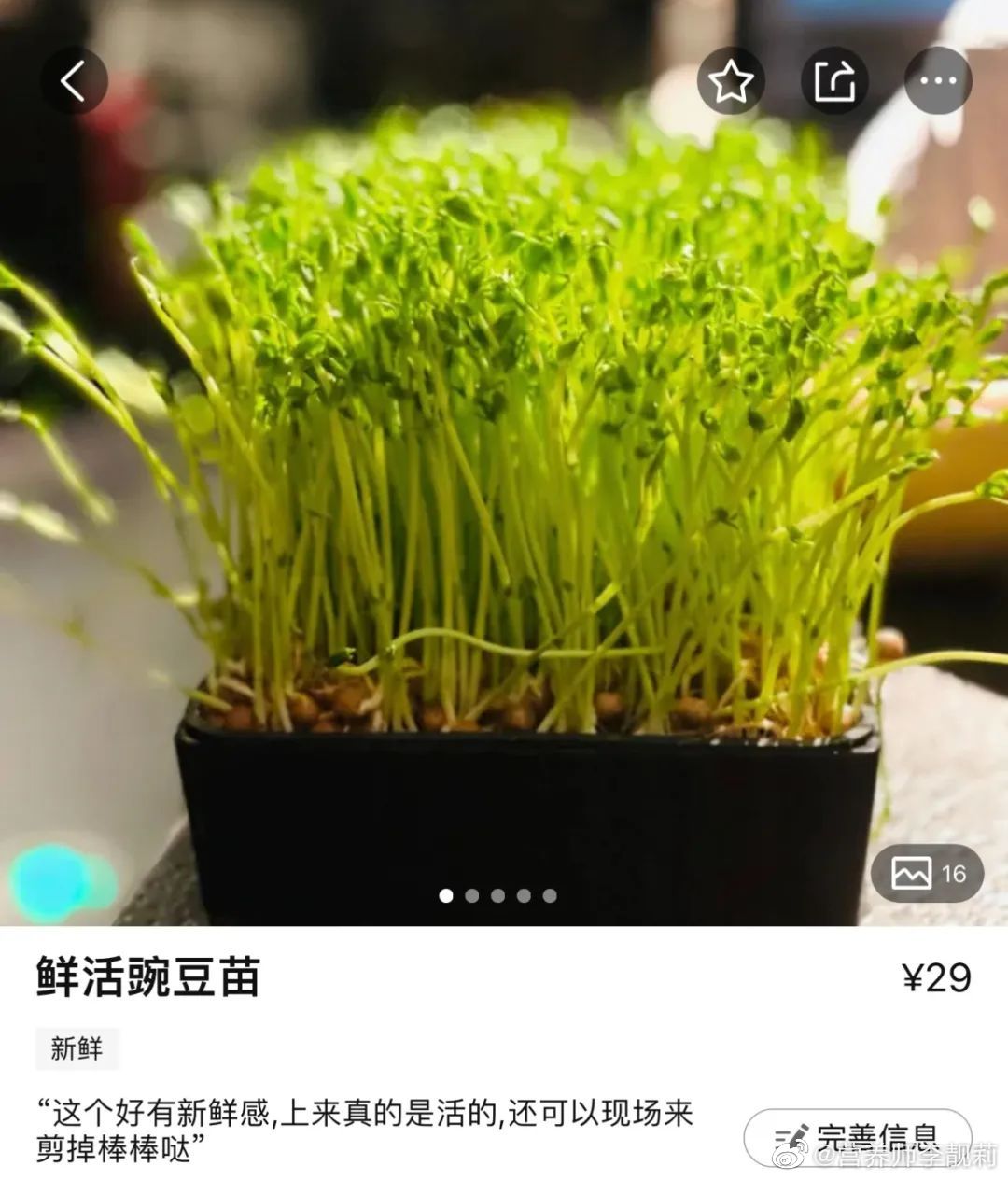 #这个问题吃什么##微博健康公开课# 很多食材除了本身可以直接食用以外，经过发芽