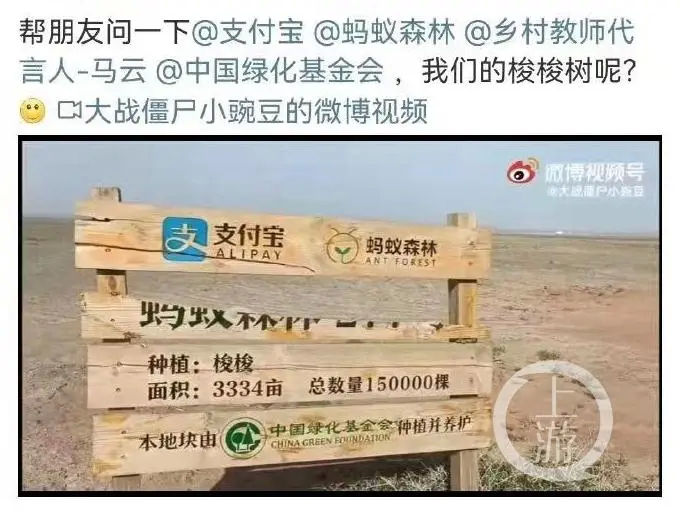 [摊手]现在大家都想知道，马某替我们种的防沙林在哪里？[哈欠] ​​​