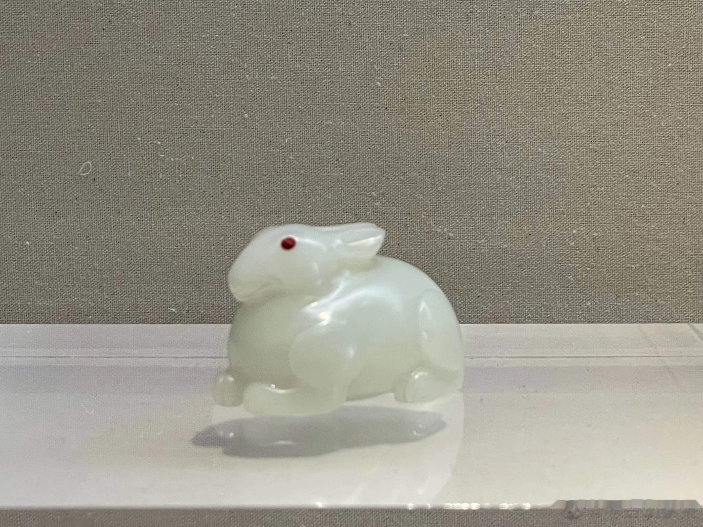 #小猿的早安# 元宵佳节至~小猿再次祝大家兔年快乐呀[兔兔拜年] ​​​