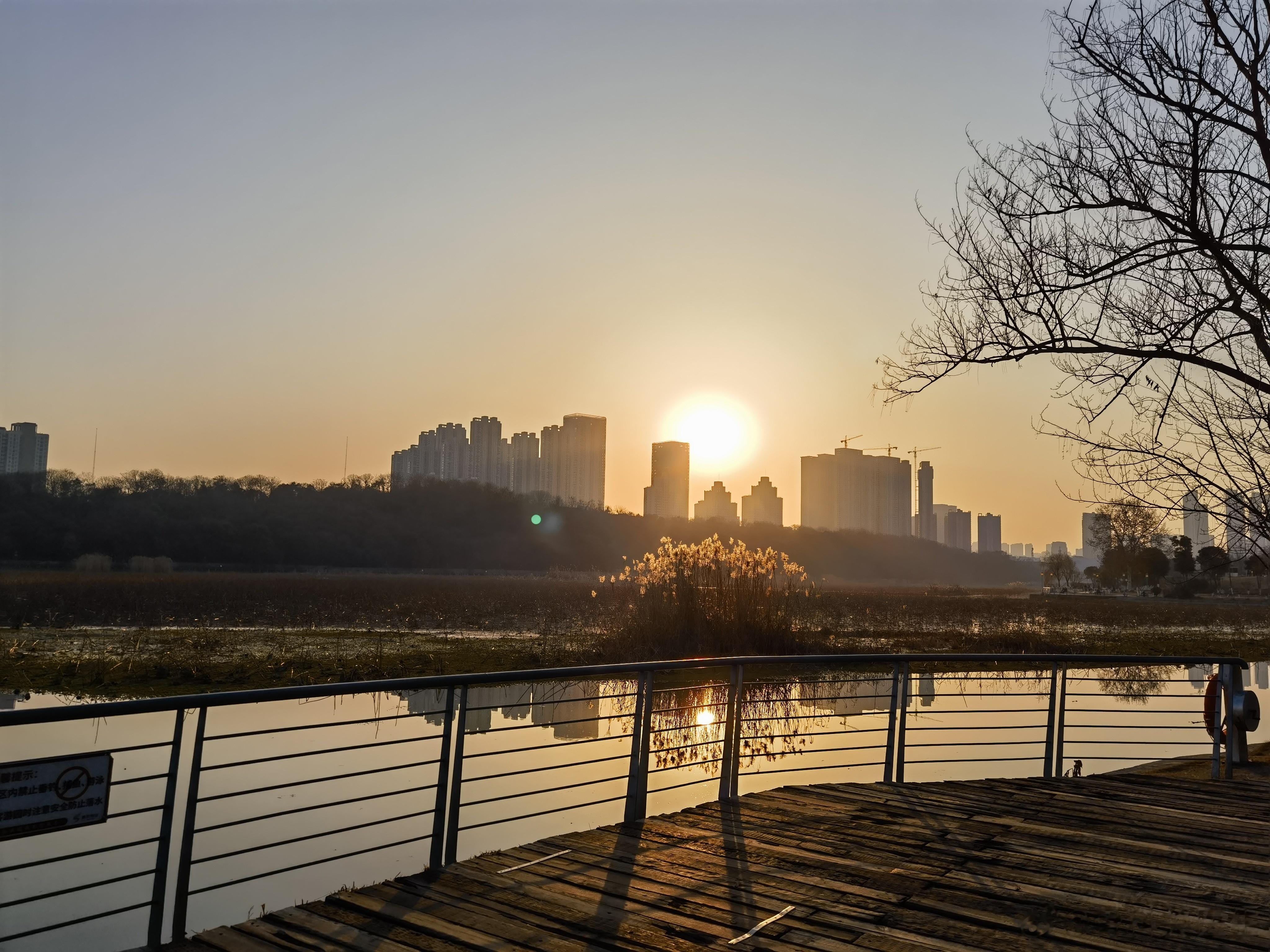 分享图片  ​​​