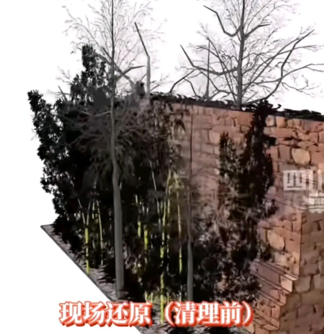 胡鑫宇吊在墙体伸出的树枝上，被院内的竹林遮蔽，不易发现。
墙体外有沙土堆，鞋子上