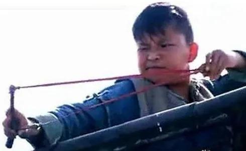  这是乌克兰的“敌后武工队”“铁道游击队”“红色娘子军”“小小飞虎队”吧，祝他们