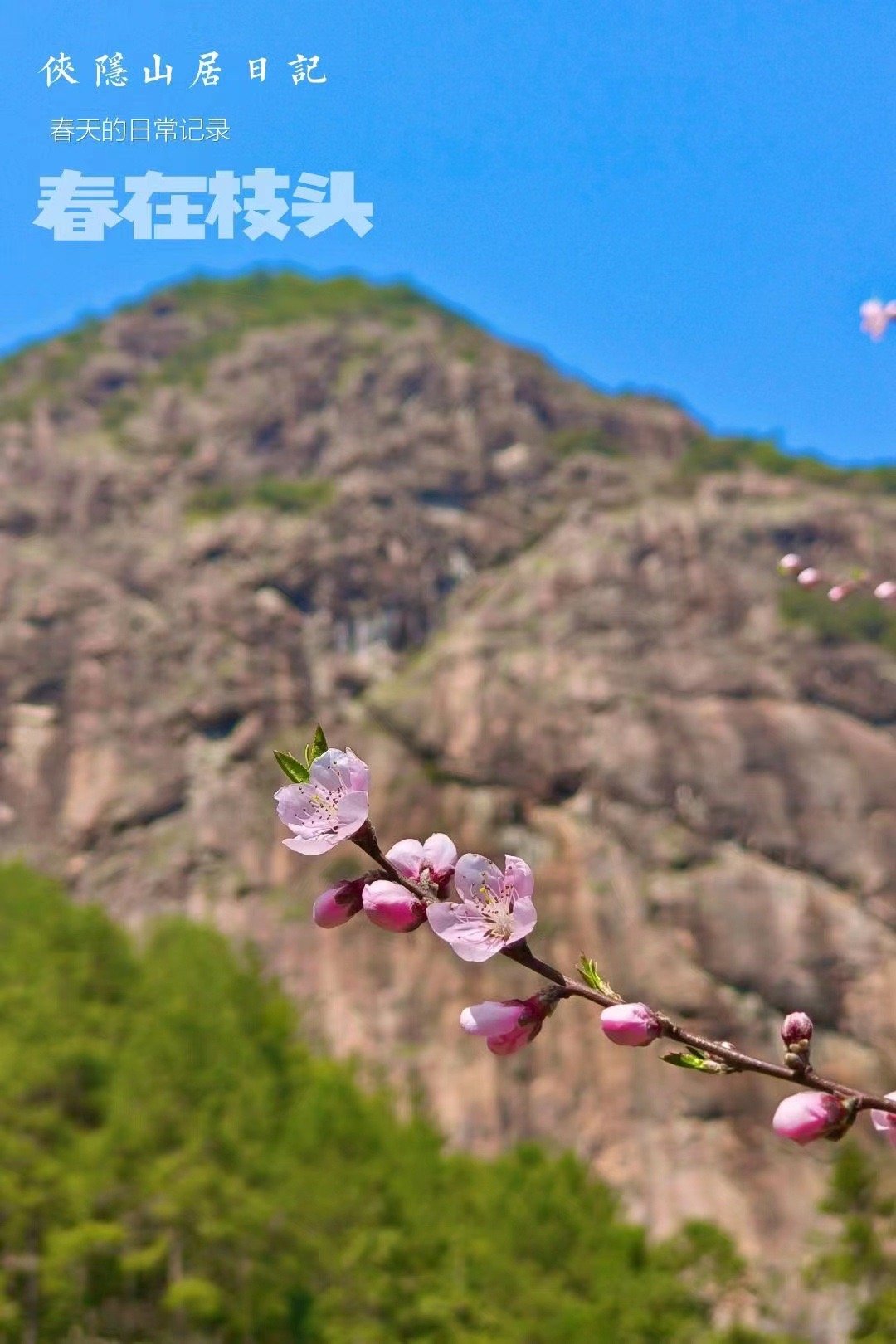 很多朋友来问五一假期去哪里玩了，我推荐旗山侠隐，因为周围没有能够聚集游客的地方，
