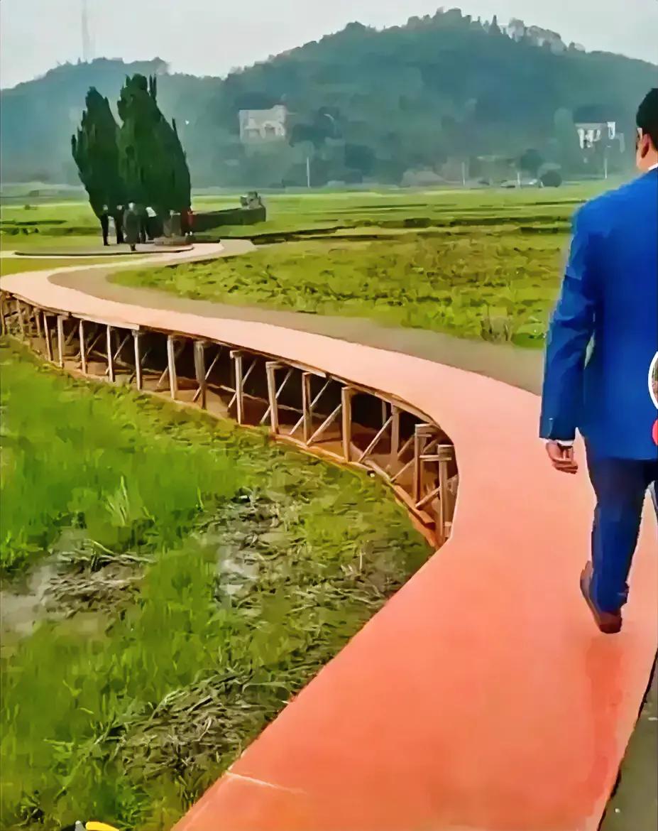 来就来呗，还非得把路搞成这样？！

人家小马走正宗的田间小道不好吗？非要占用农地