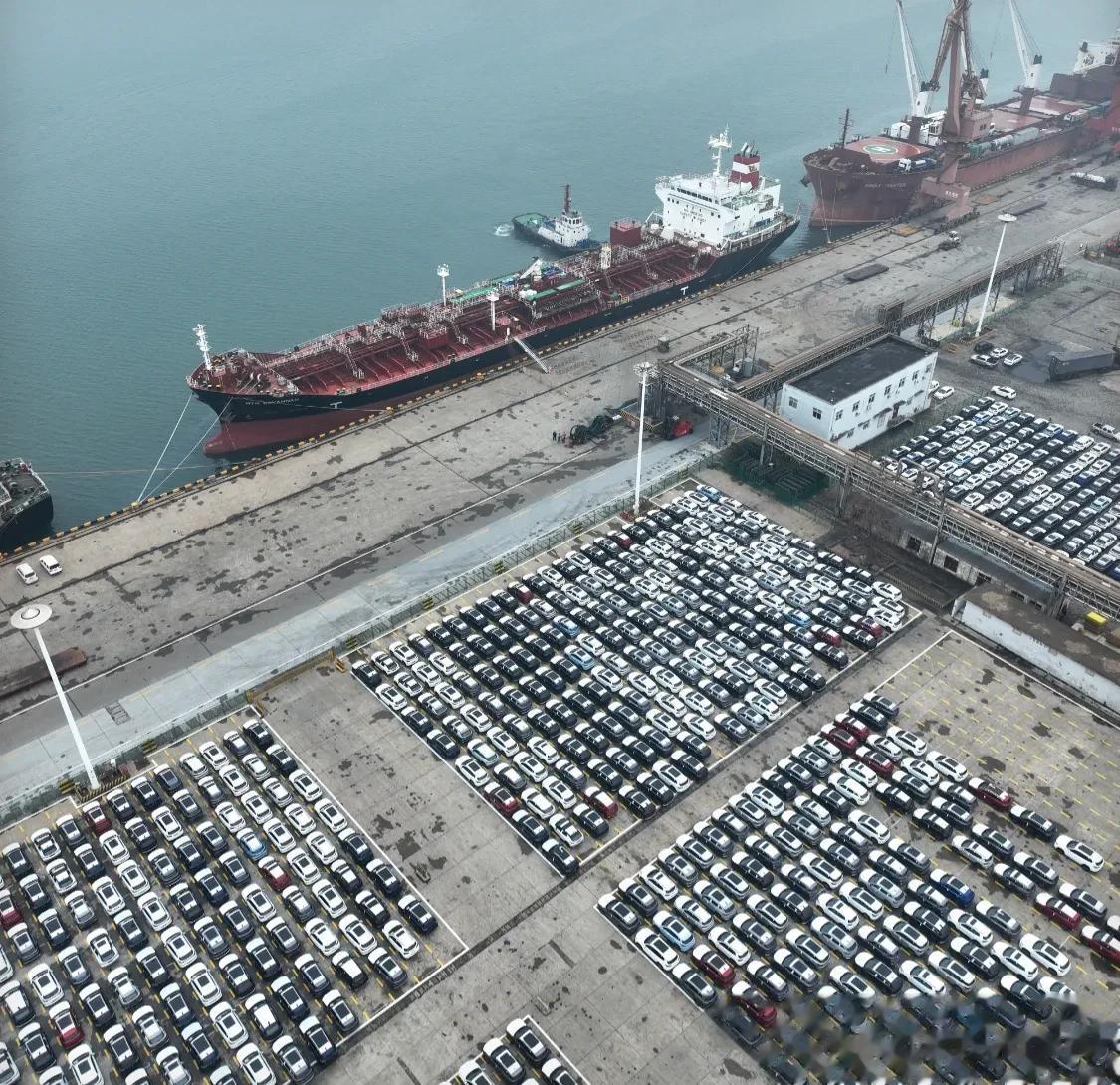 连云港码头准备装船出口的汽车，