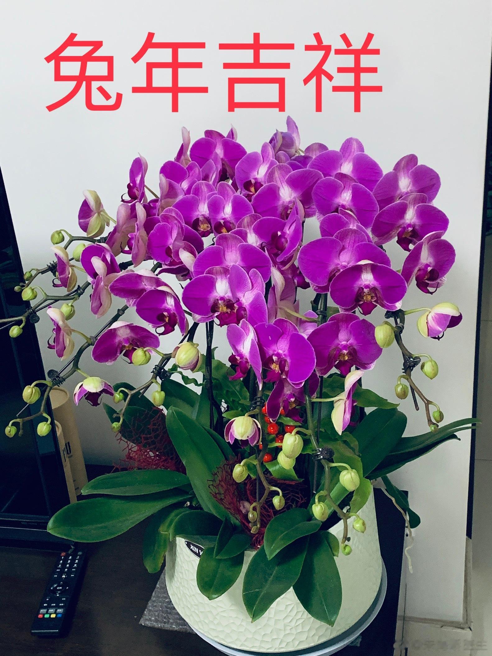 #初四# 今天杭州户外气温-6