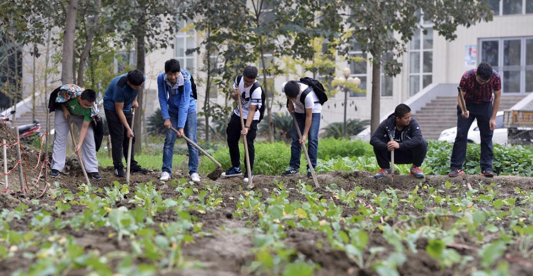 大学生成为高素质农民的一个重要前提，那就是农民身份的职业化与规范化。这位代表是浙