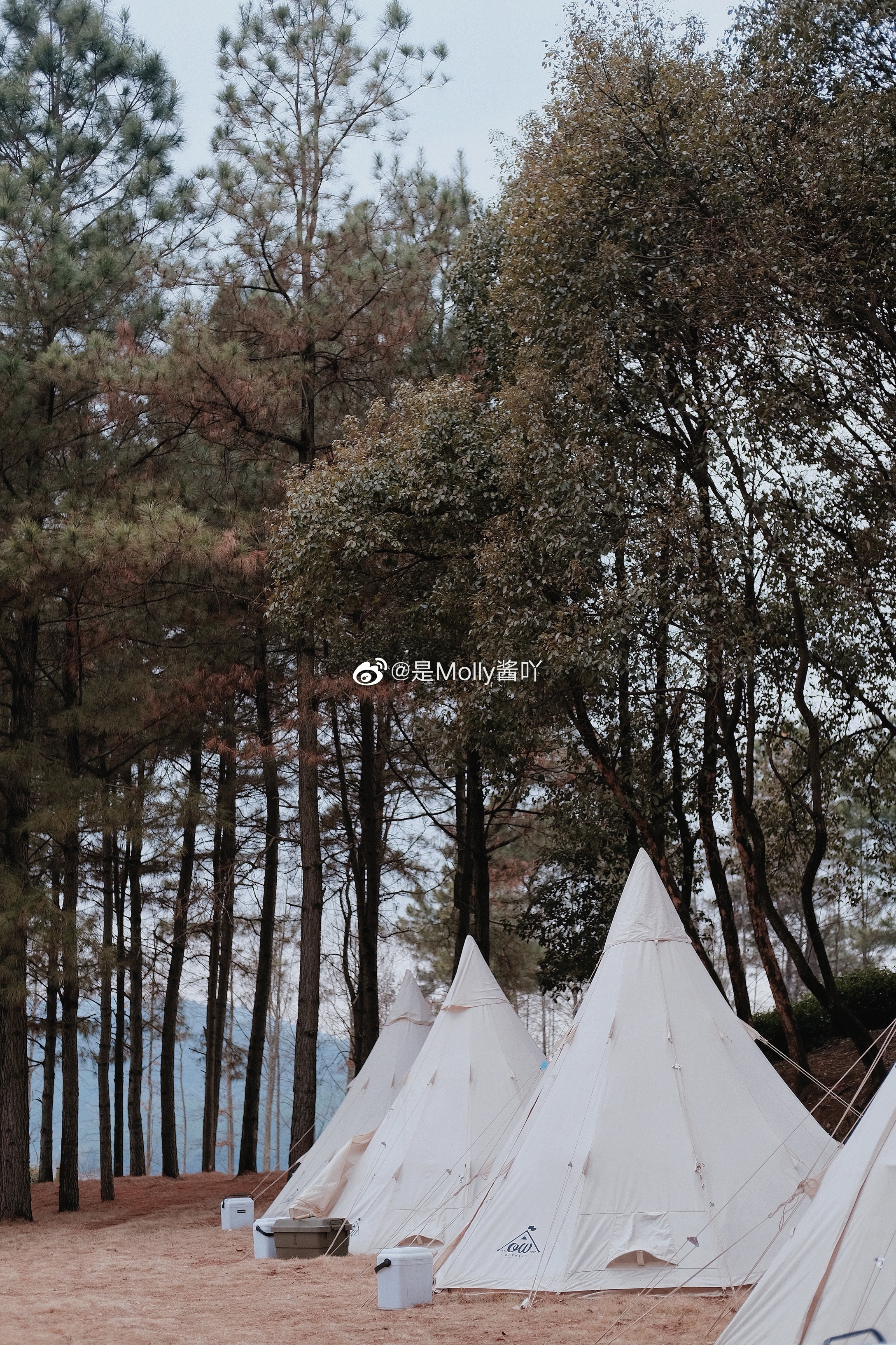 ⛺️2022的第一场旅行开始于露营自从上次Glamping之后意犹未尽就和朋友们