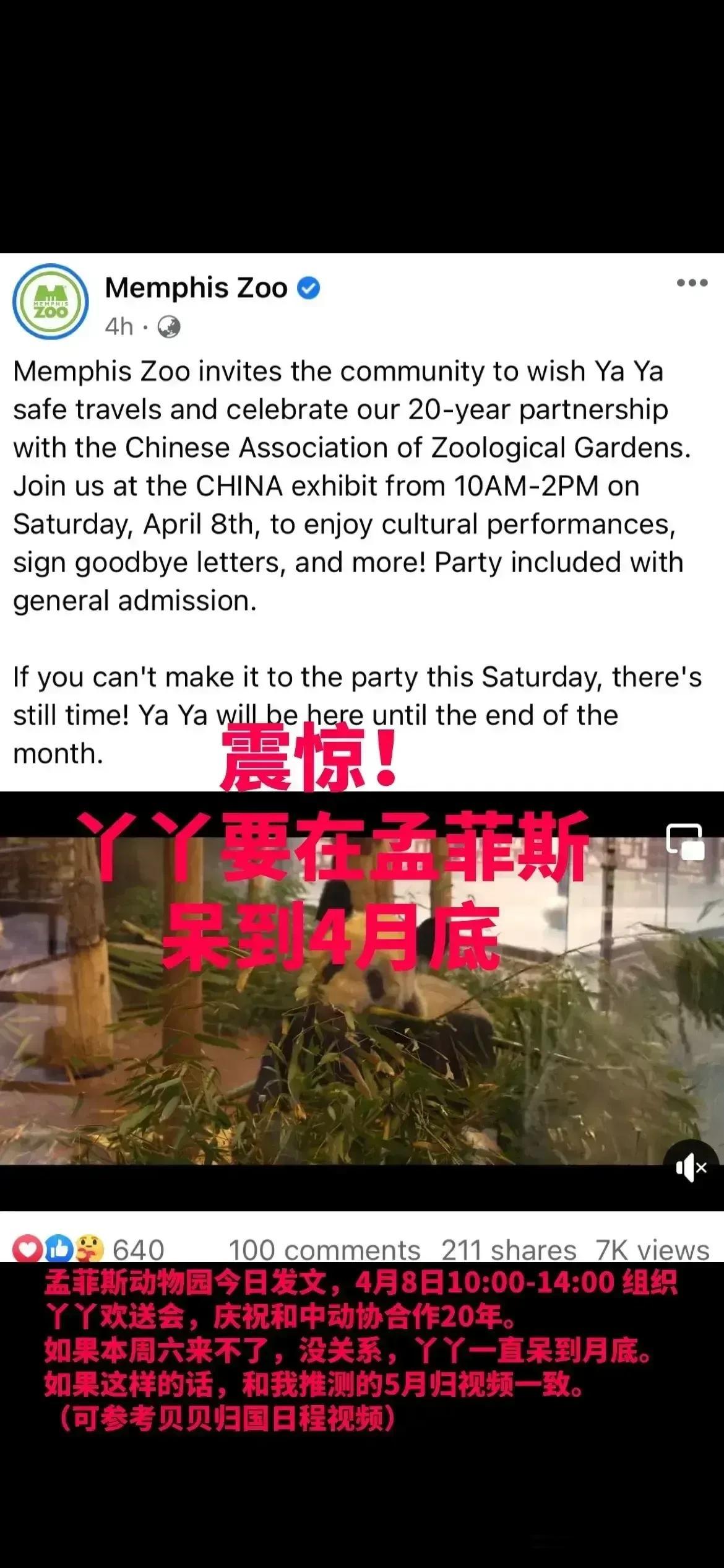 听说丫丫又要在美国呆到4月底，对中动协彻底无语了，不知道签了个什么丧权辱国的合同