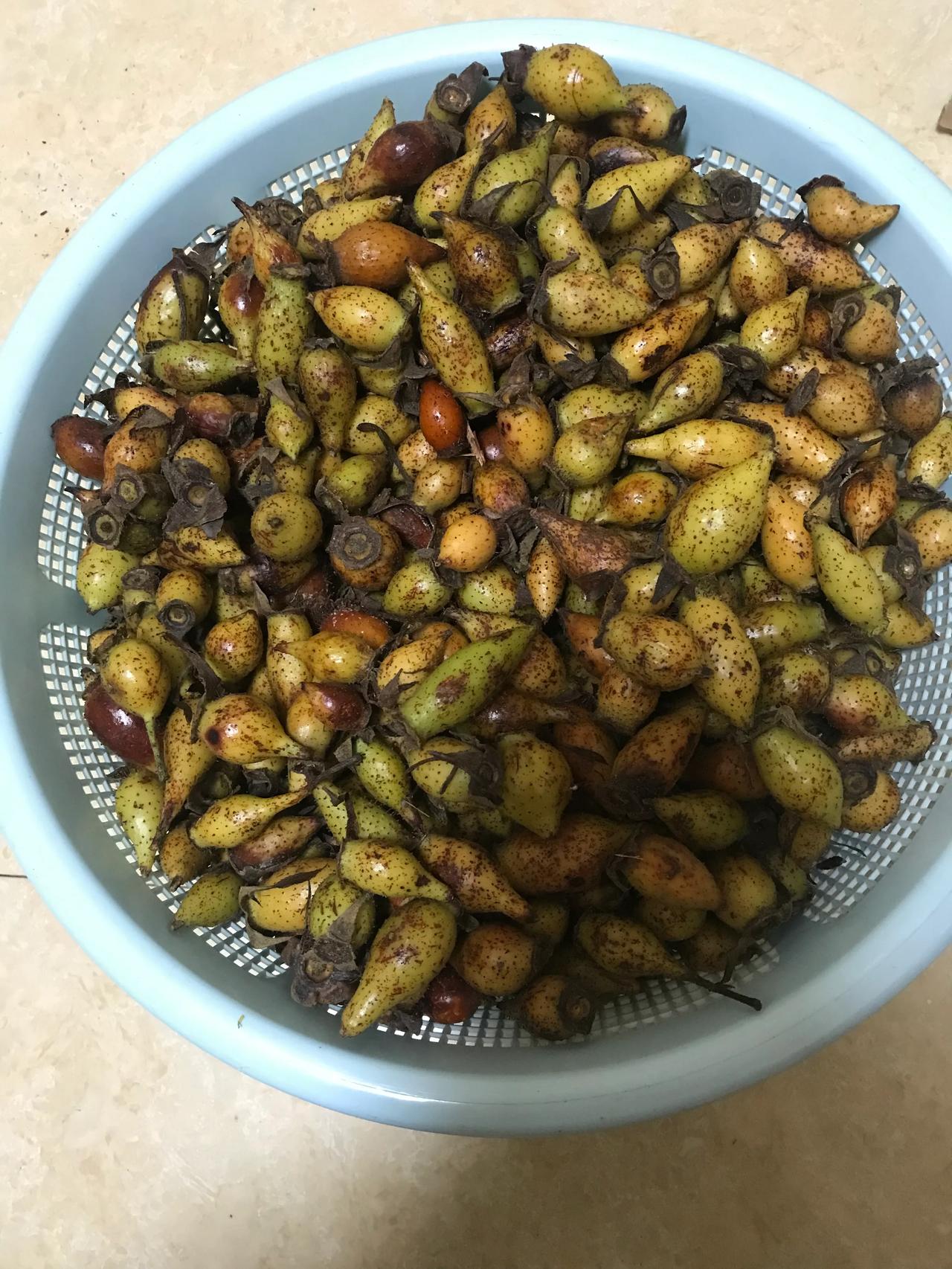 年纪大了，突然想泡点酒，这是我