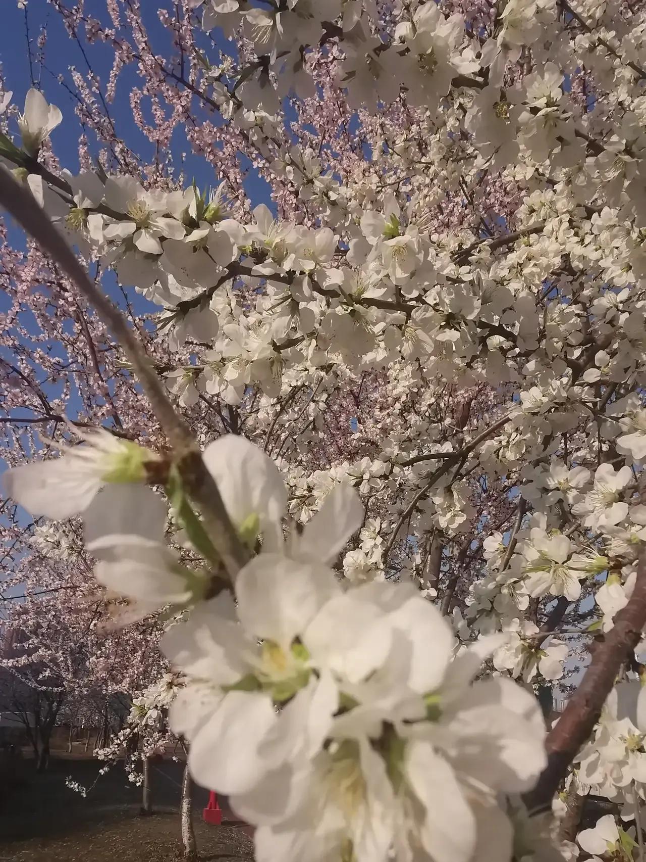 现在‮退的‬役军‮优人‬待‮广证‬受诟病，其实，完全可‮不以‬给退‮军役‬人优待