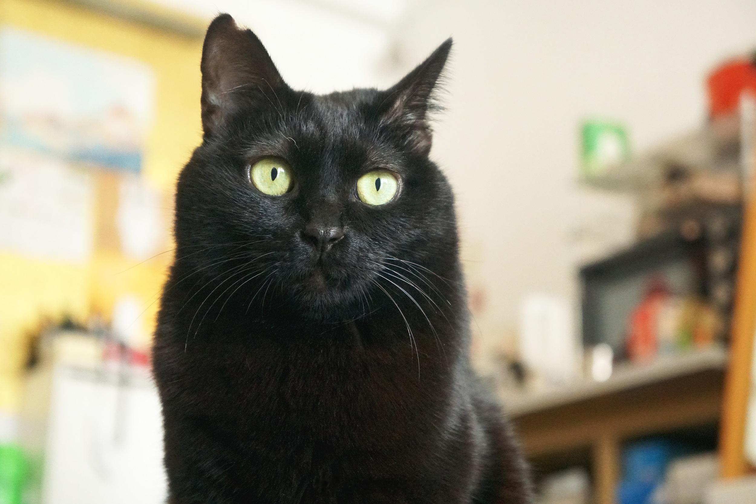 香香的蝦蝦～ ​​​