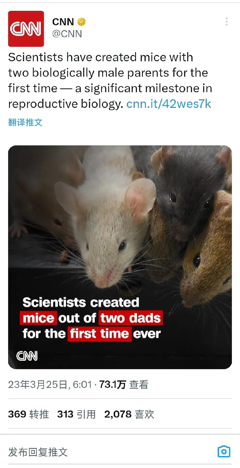 女人看了这个消息可能要慌了，因为日本科学家已经用两个男老鼠生了小老鼠，也许将来两