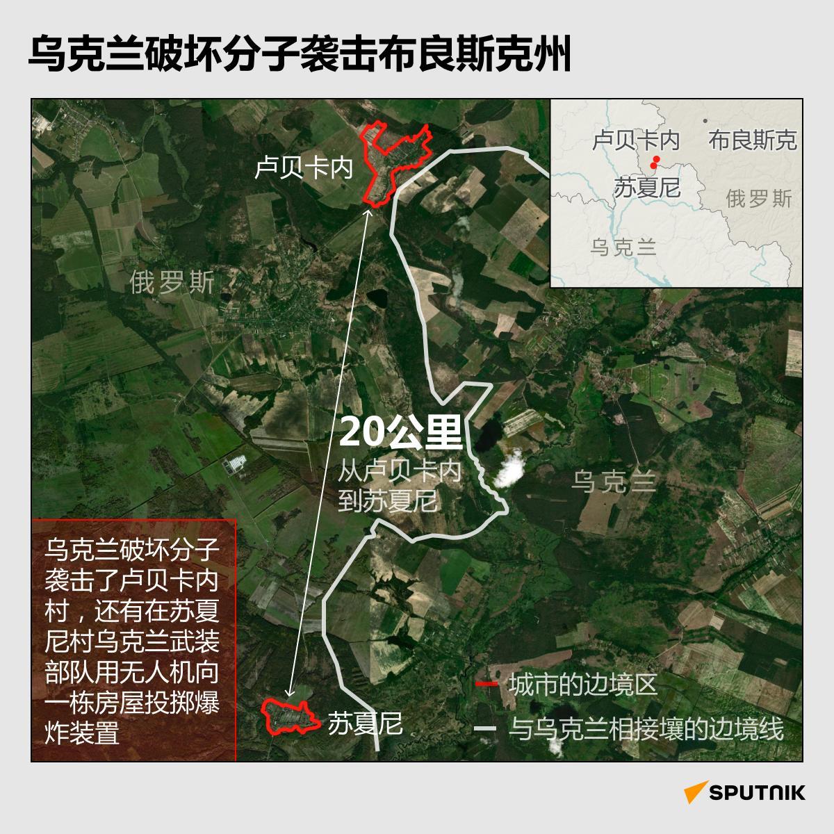 偷袭俄布良斯克州边境村庄的，是乌克兰民族主义分子，而不是乌克兰正规军队。实施偷袭