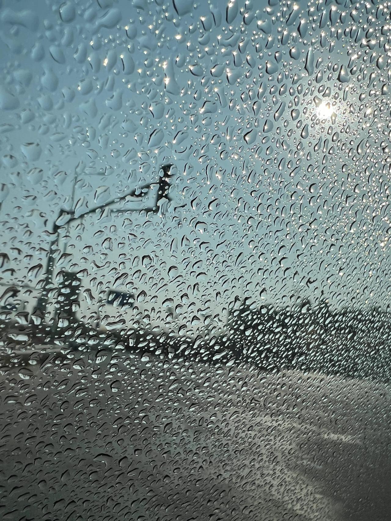 偶遇洒水车，车白洗了[万柿如意][万柿如意]