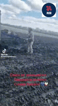 好肥沃的黑土地！一支乌军小队正在从巴赫穆特撤退，由于俄罗斯“瓦格纳”雇佣兵围追堵