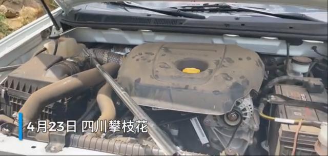 可怕！攀枝花米易惊现14斤重3