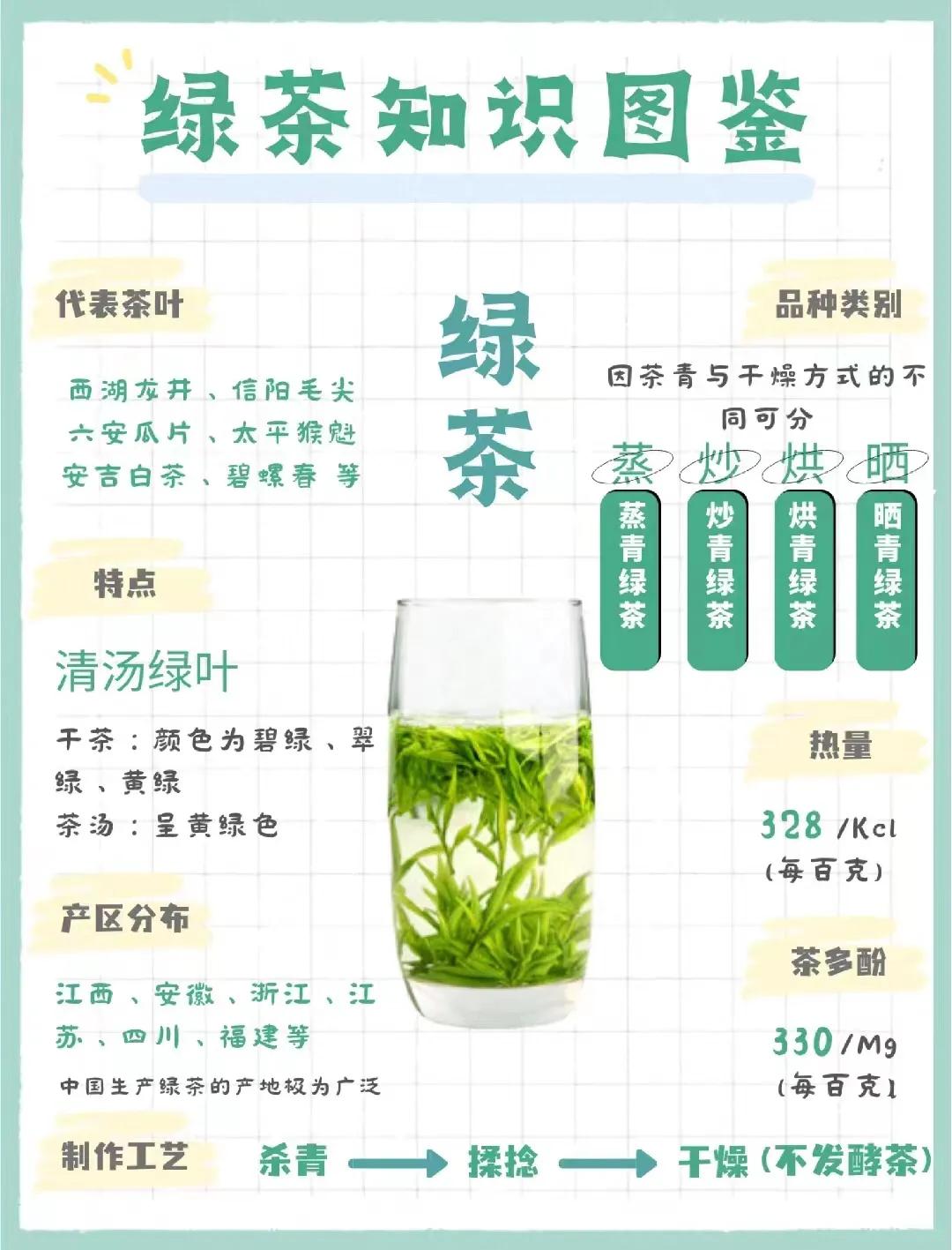 超全绿茶知识合集｜入门绿茶，看这篇就够了