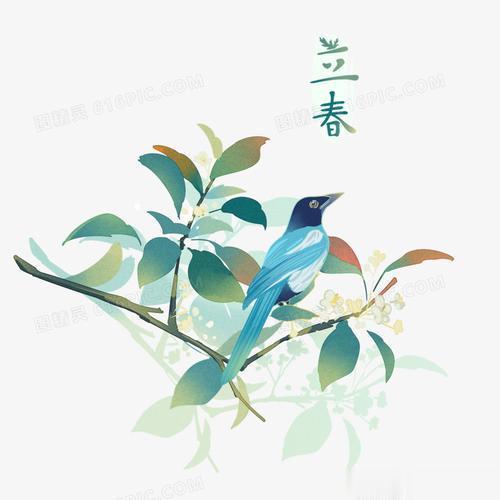 #我眼中的立春##国医的精诚力量# 立春一日，万物之始。立春天气多变，应注意保暖
