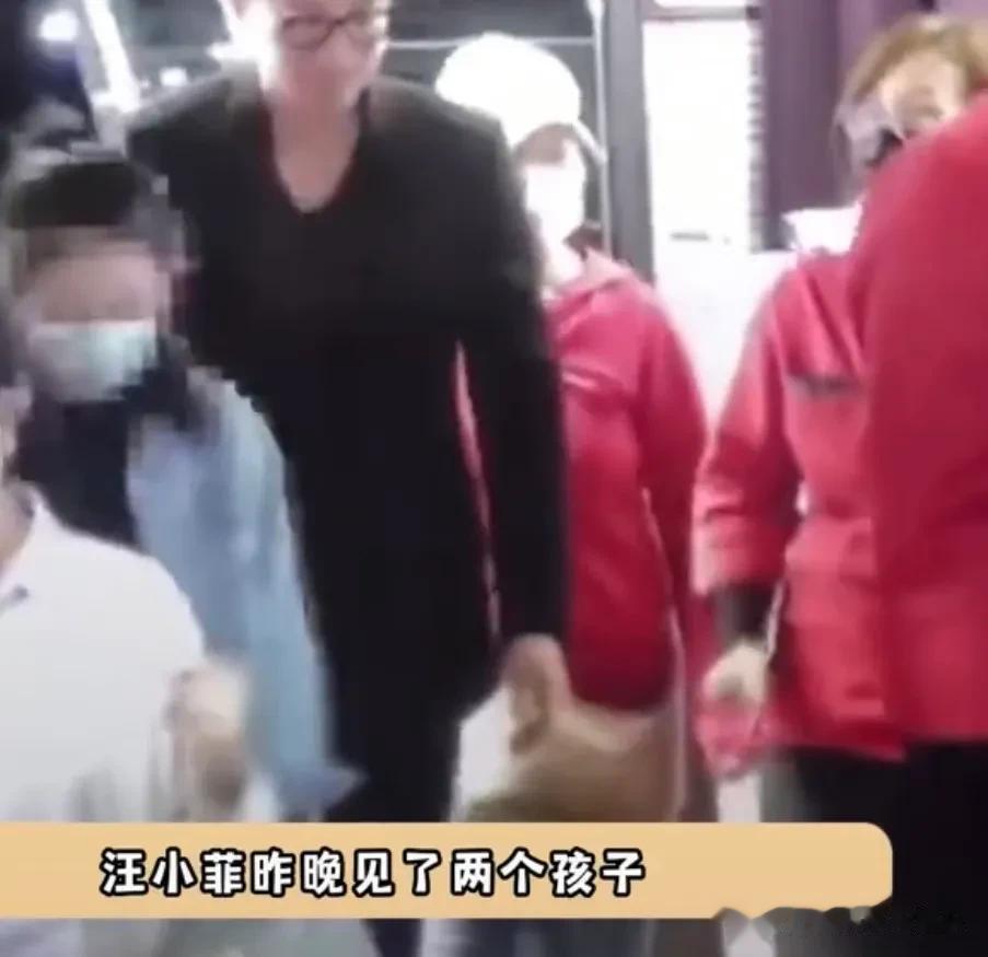 狗仔葛斯齐透露汪小菲见了两个孩子，牵着女儿的手走出餐厅，非常有父亲的感觉，之后车