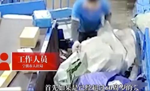 #历史那些事[超话]#家属回应 60 岁快递分拣工凌晨猝死岗位：中通没给上工伤保