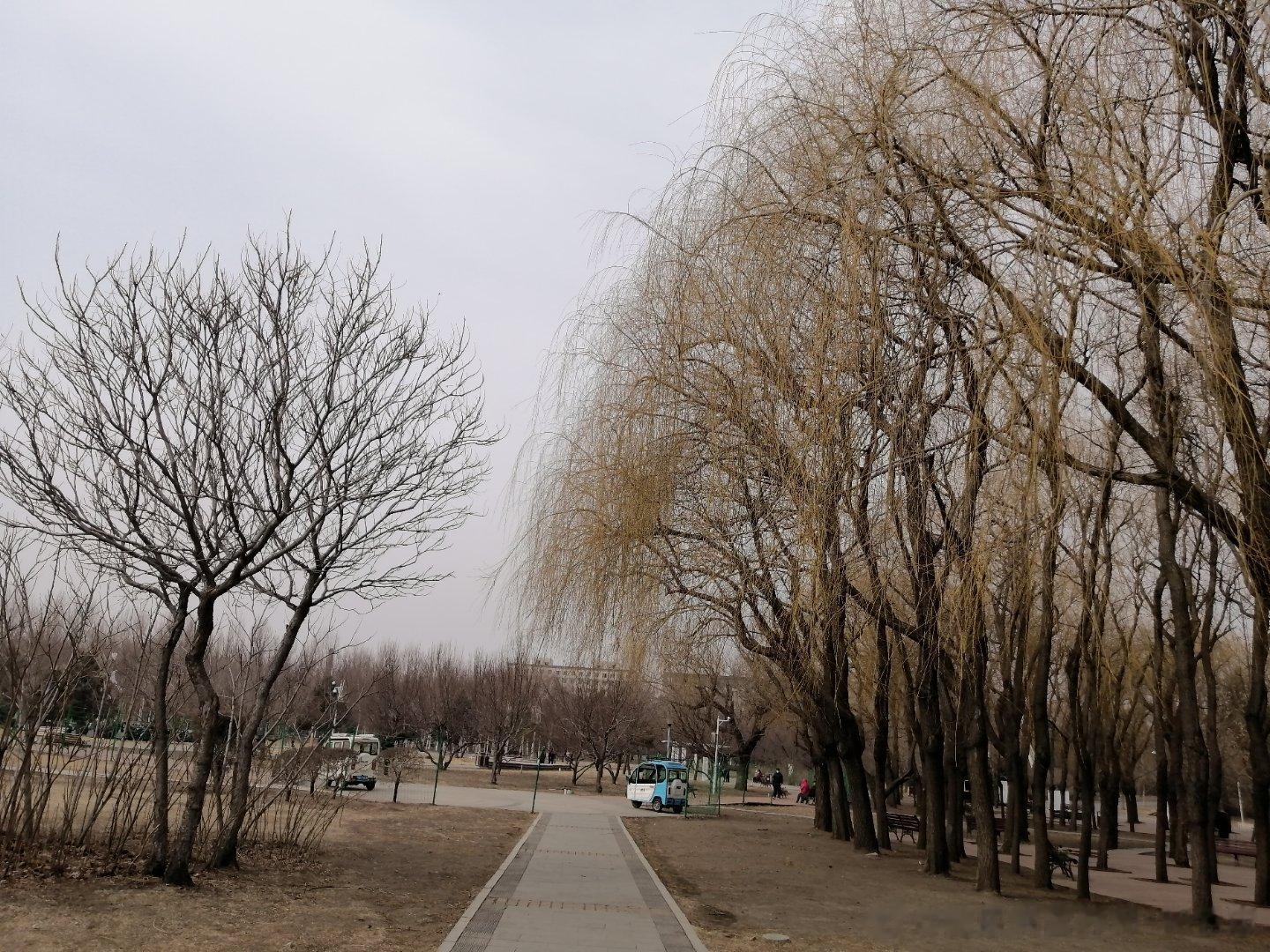 春来枝未绿，仍感微寒袭。曾经荫荫地，未见芳草畦。 万物春依睡，生活待生机。但期日