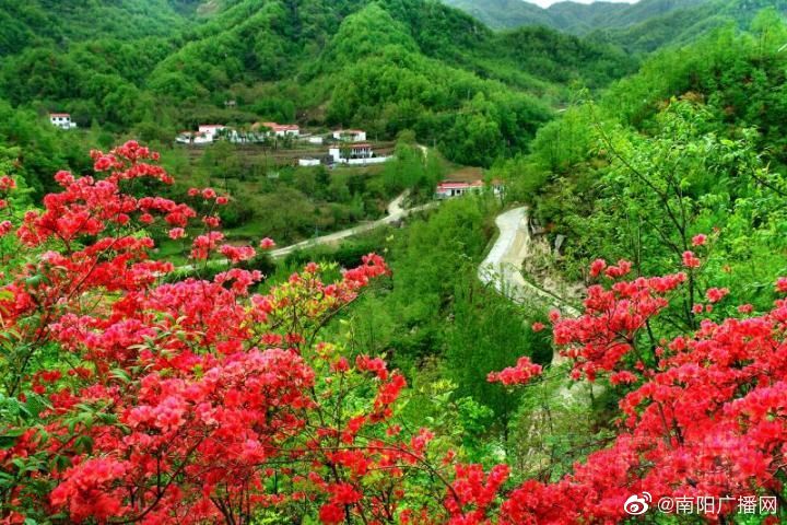 南召县：通上柏油路 小康加速度