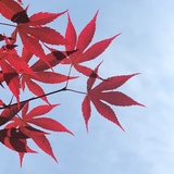 股牛哥财经