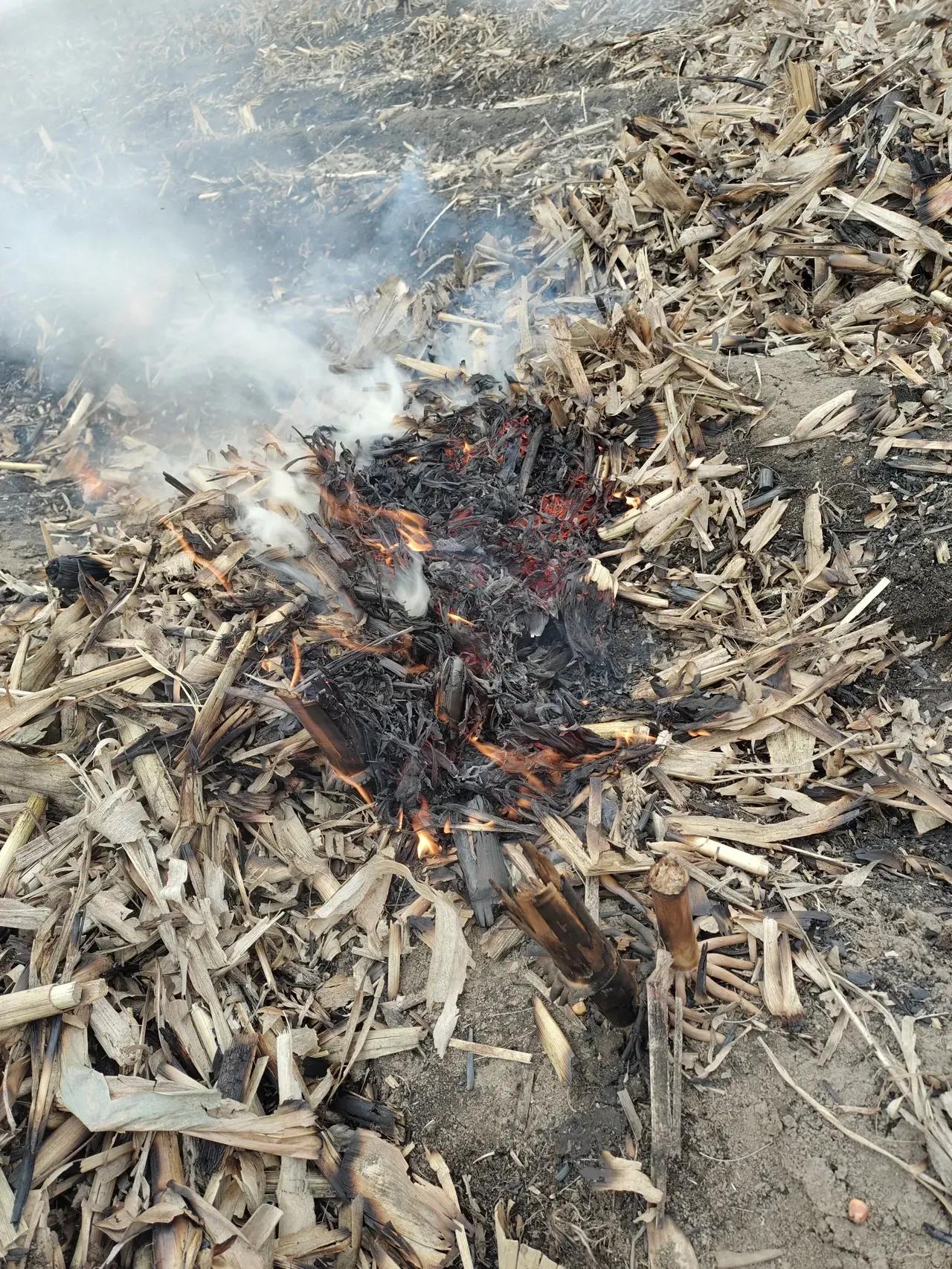 现在各地农村已经允许烧秸秆了，我老家这几天也开始烧秸秆了。但是还是想说，都四月了
