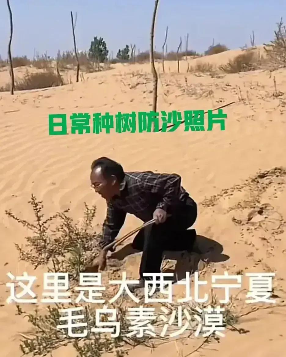 只看孙国友的那张脸就知道他是真正治沙的英雄[擦汗]一位林业局的朋友看了新闻里当地