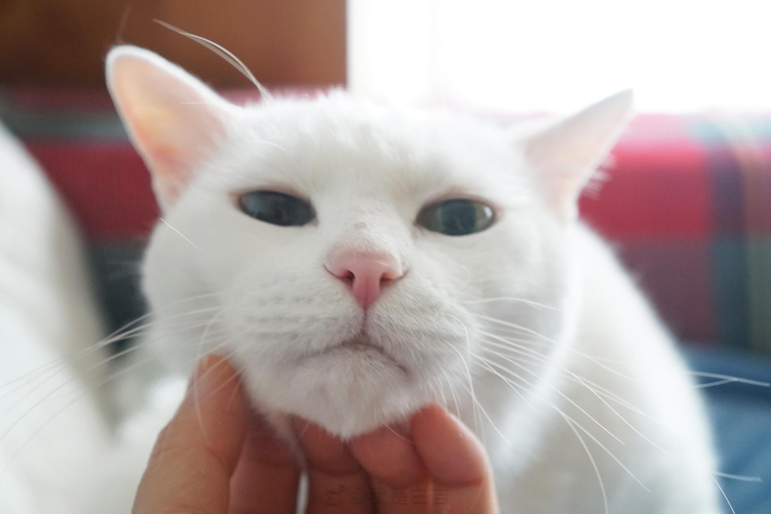 隨手可以騷擾的對象～ ​​​