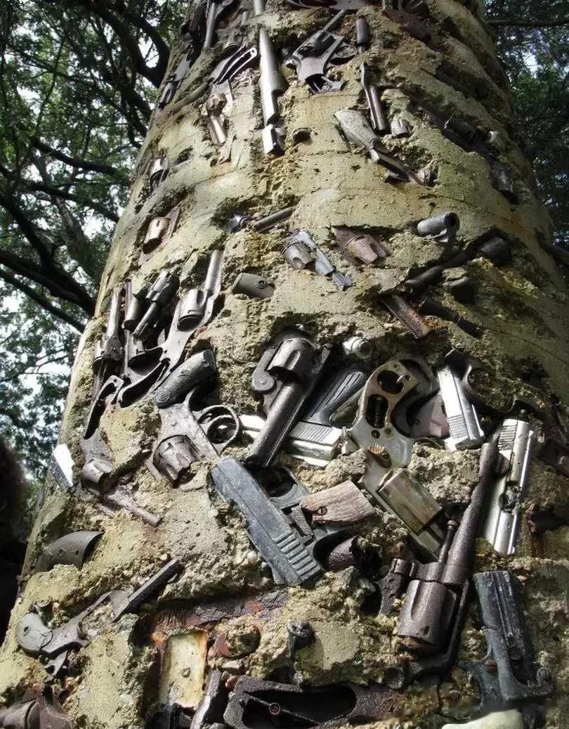  
这么多的枪支器械全部镶在这棵树上。
谁知道这棵树经历了什么？
嵌在这里了。
