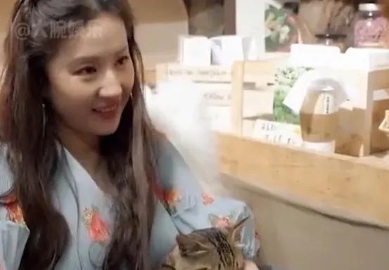 刘亦菲和郭碧婷，两个人都有那种