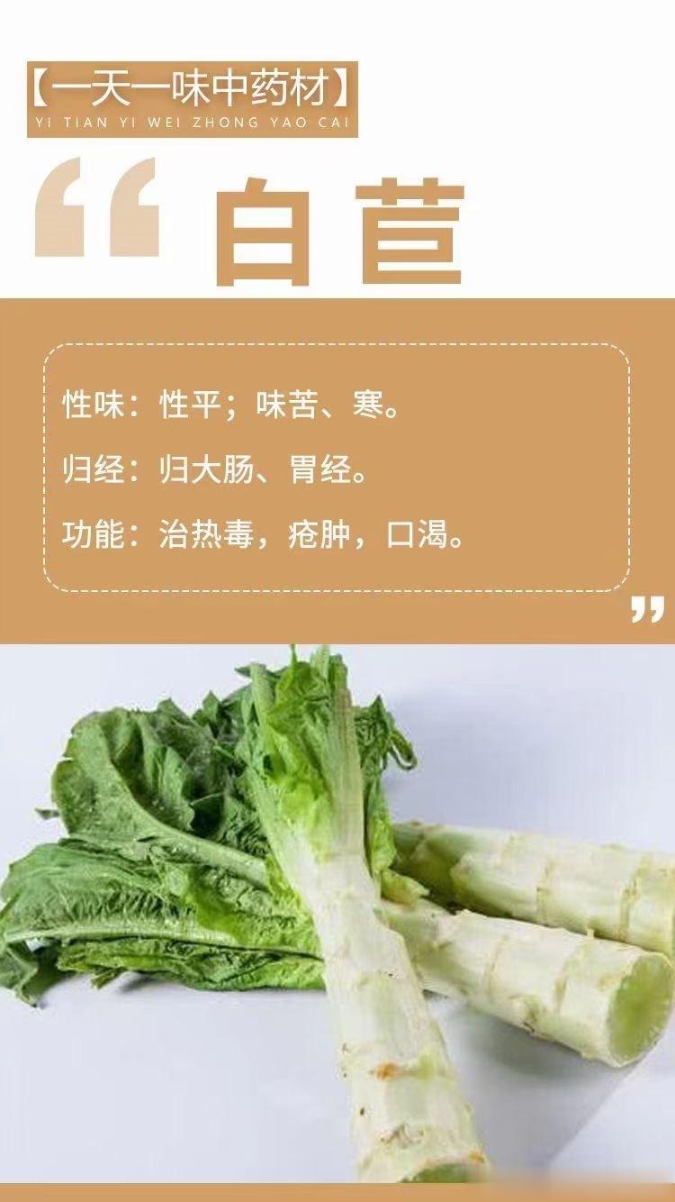 🌿【一天一味中药材】🌿            ～白苣～性味：性平；味苦、寒